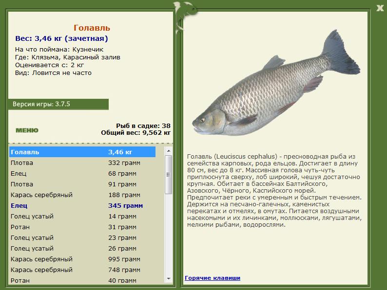 РУССКАЯ РЫБАЛКА Installsoft Edition 