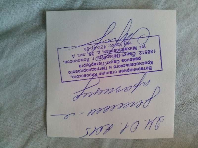 Найден колли в Питере!