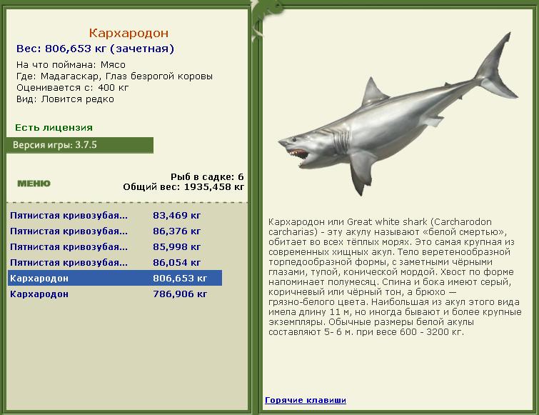 Глаз безрогой коровы 