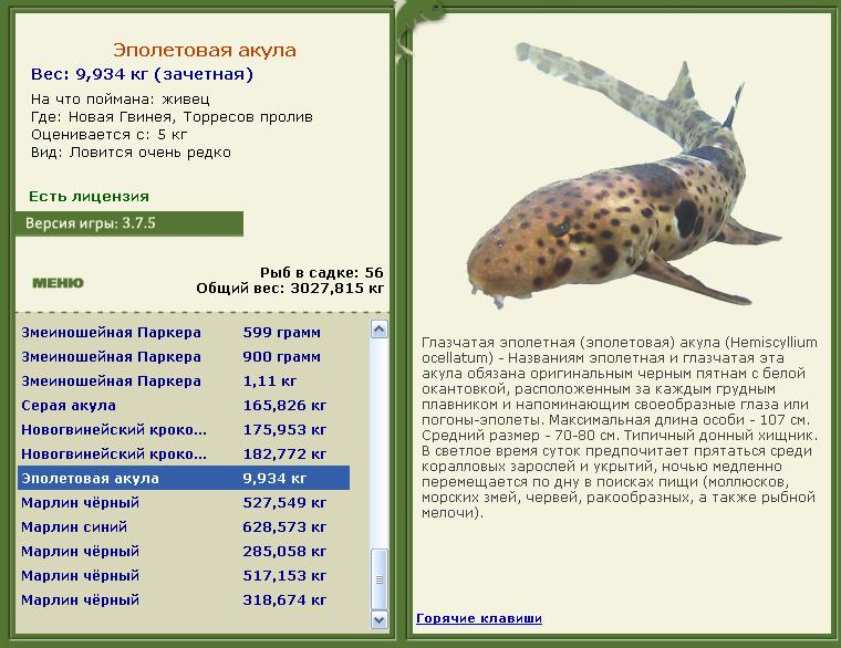 Торресов пролив 