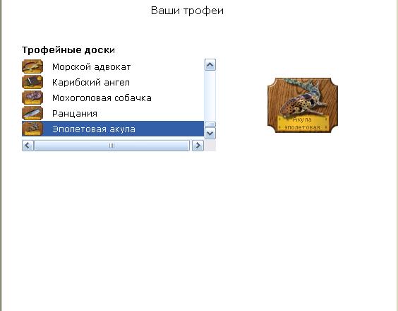 Торресов пролив 