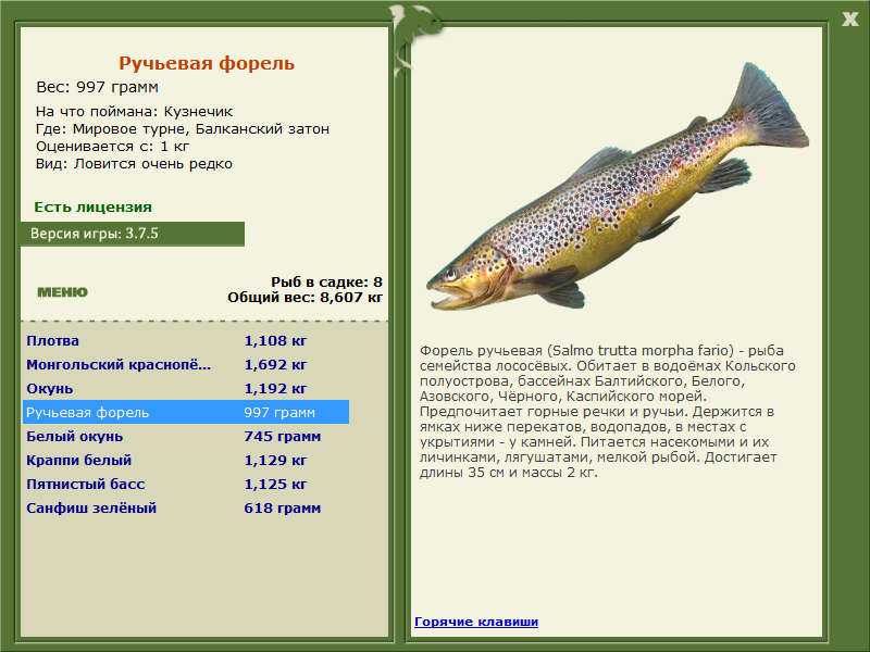 Мировое турне 