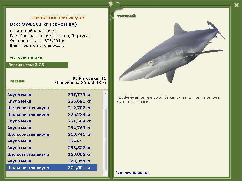 Шелковистая акула 