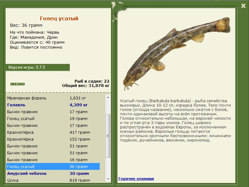 РУССКАЯ РЫБАЛКА Installsoft Edition 