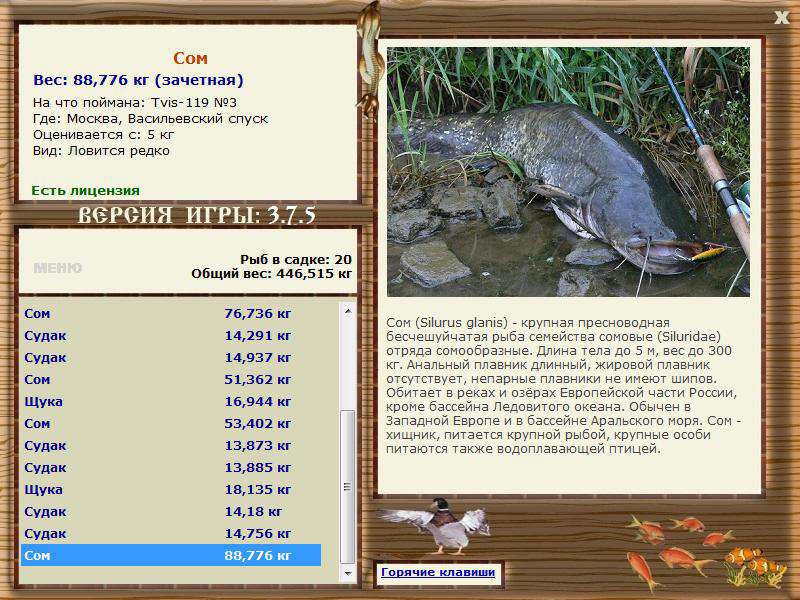 РУССКАЯ РЫБАЛКА Installsoft Edition 