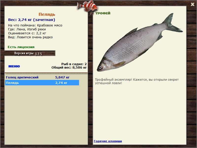 Изгиб реки 