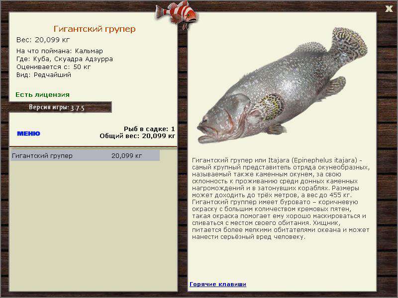 РУССКАЯ РЫБАЛКА Installsoft Edition 