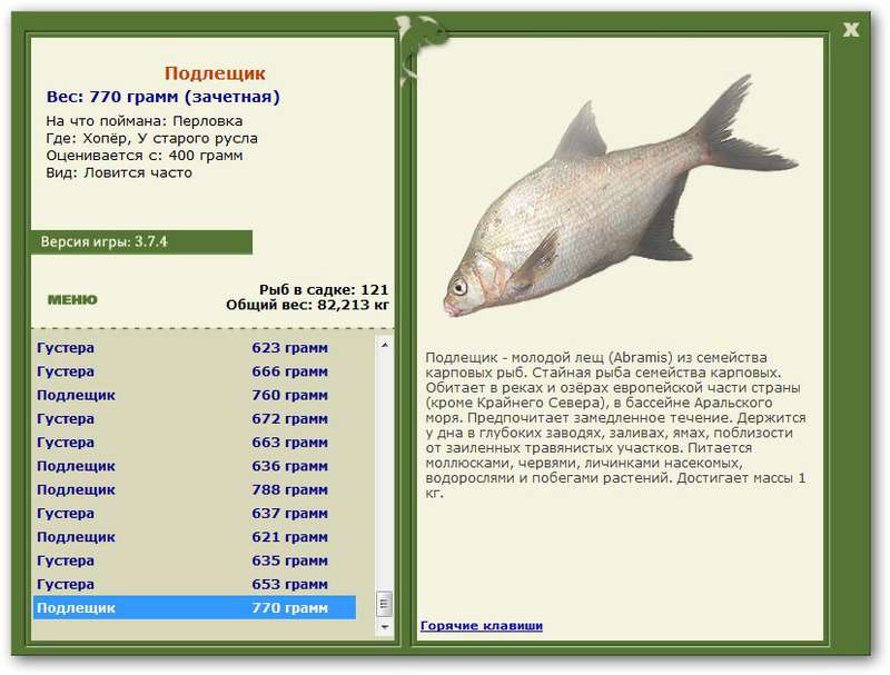 турниры • РУССКАЯ РЫБАЛКА