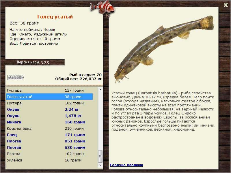 РУССКАЯ РЫБАЛКА Installsoft Edition 