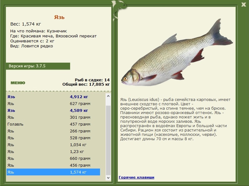 Вязовский перекат 