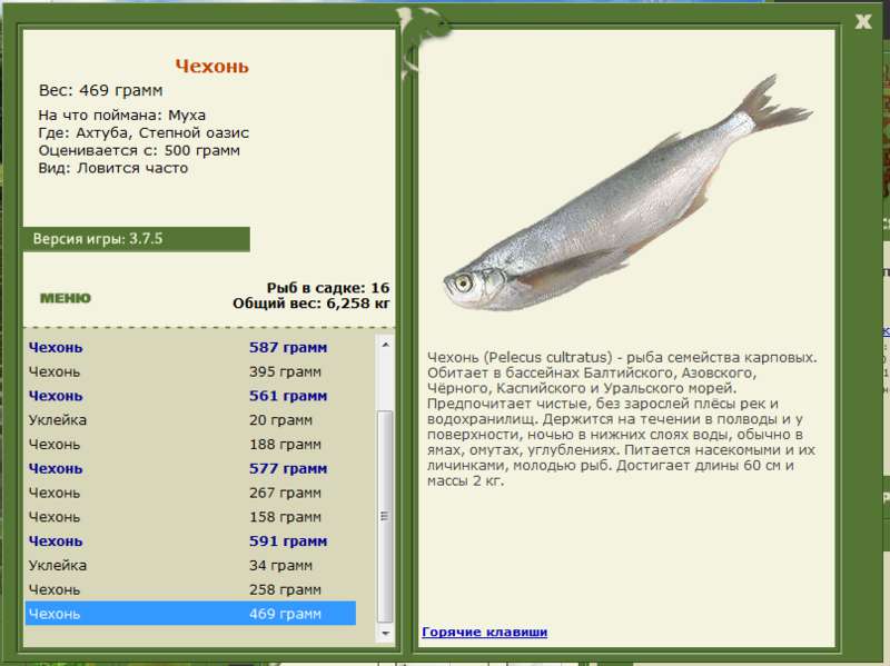 РУССКАЯ РЫБАЛКА Installsoft Edition 