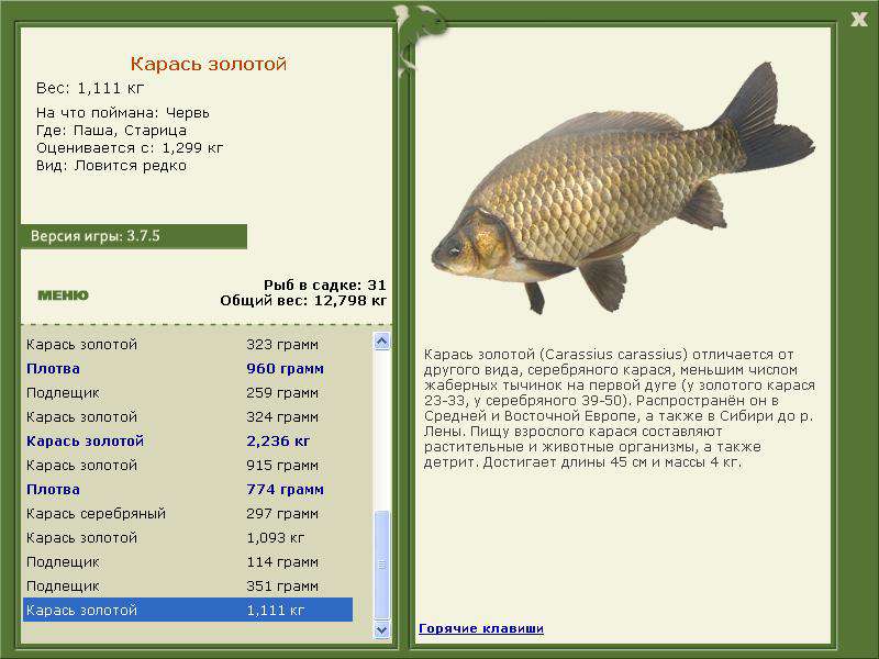 турниры • РУССКАЯ РЫБАЛКА