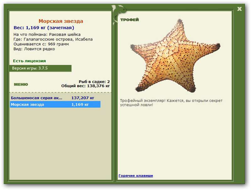 Морская звезда 