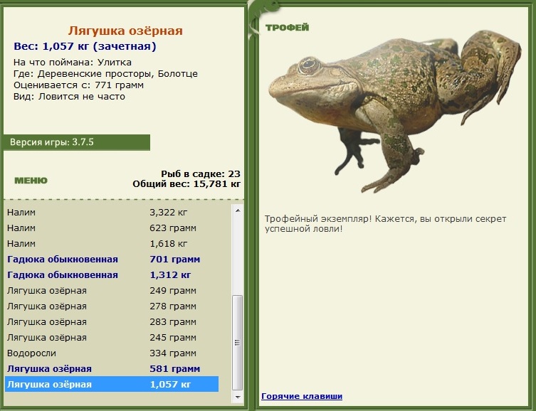 Болотце 