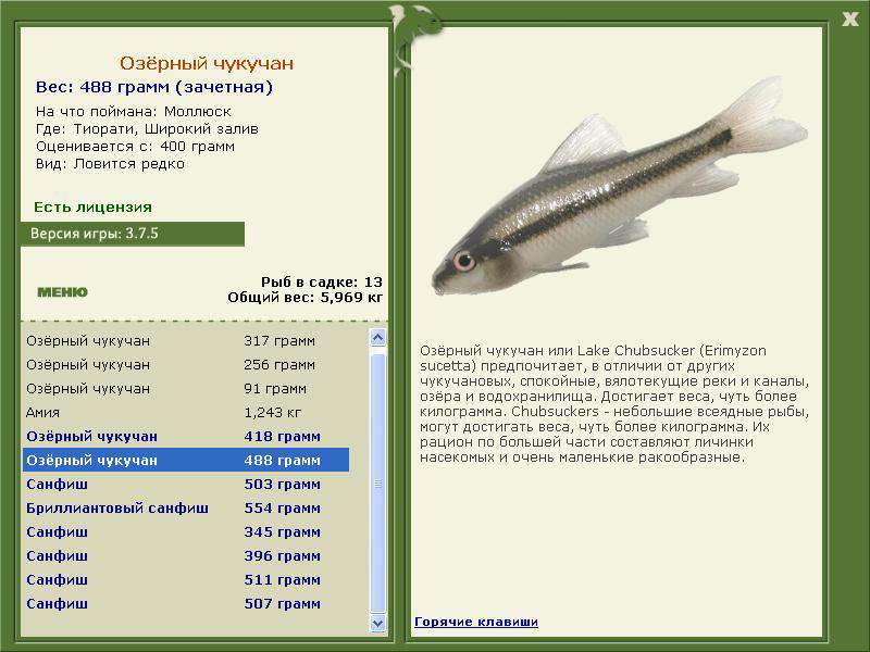 Широкий залив 