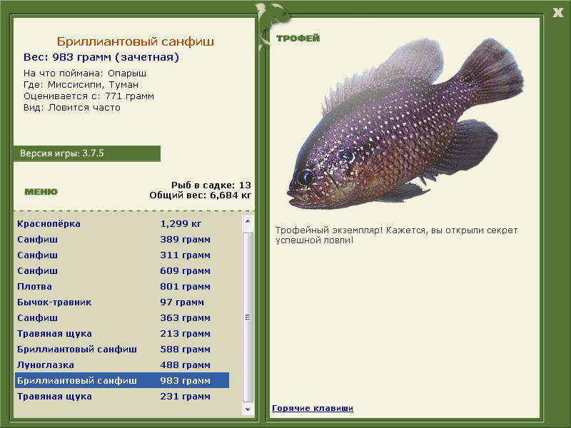 Бриллиантовый санфиш 