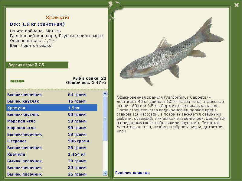 РУССКАЯ РЫБАЛКА Installsoft Edition 
