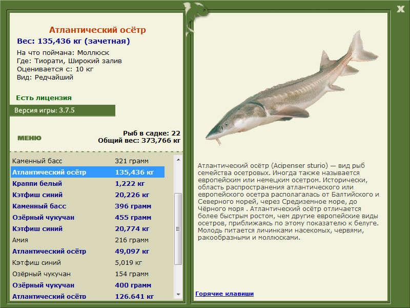 Широкий залив 