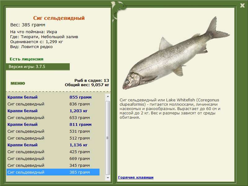 Небольшой залив 