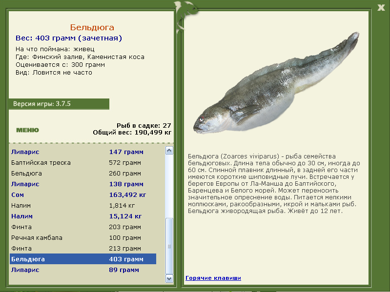 Каменистая коса 