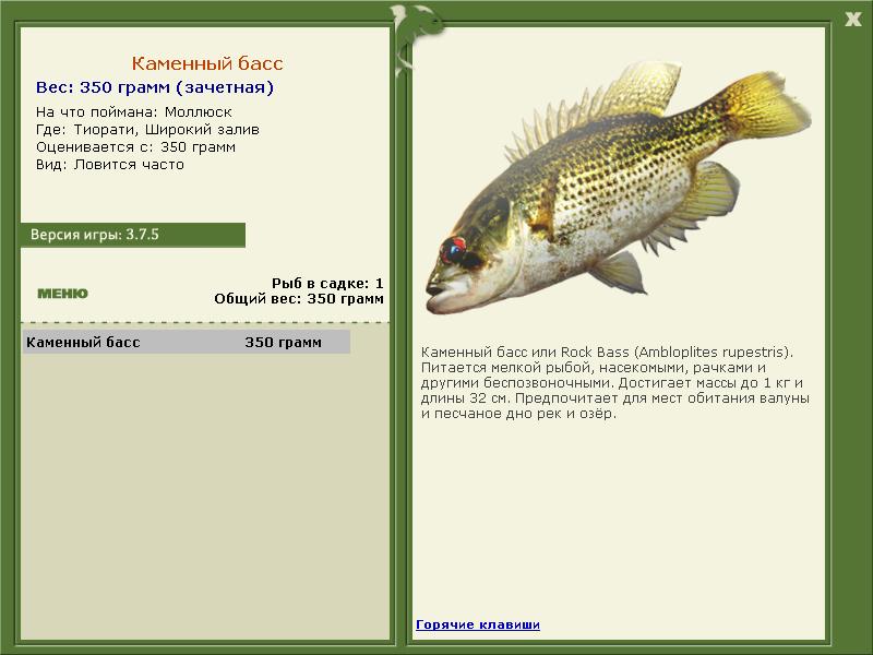 турниры • РУССКАЯ РЫБАЛКА