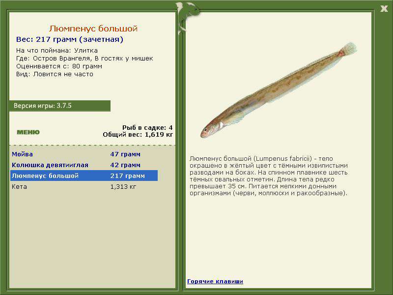 Остров Врангеля 