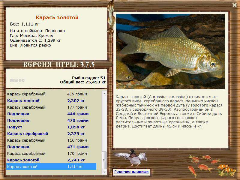 РУССКАЯ РЫБАЛКА Installsoft Edition 