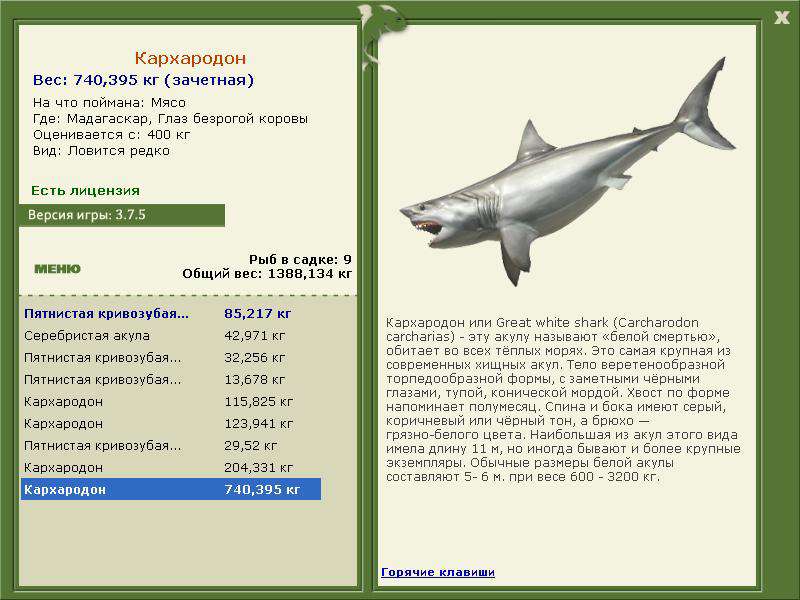 Глаз безрогой коровы 