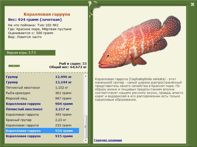 турниры • РУССКАЯ РЫБАЛКА