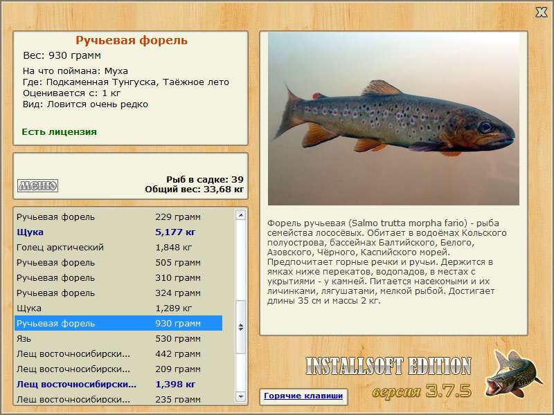 Таёжное лето 