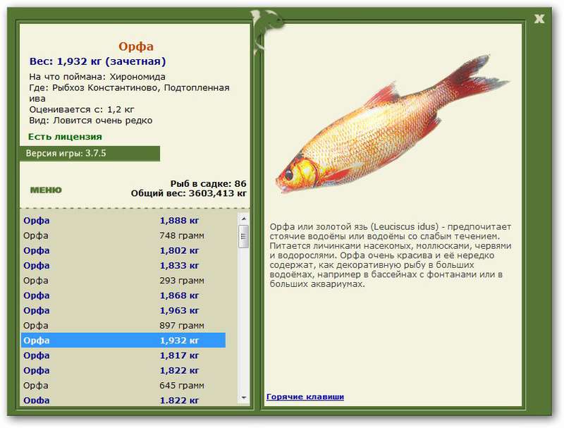 турниры • РУССКАЯ РЫБАЛКА