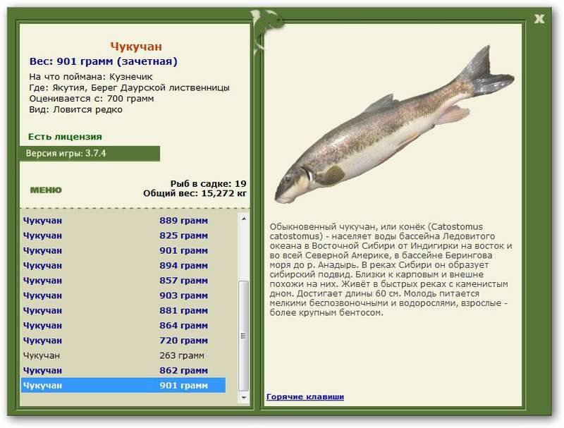 турниры • РУССКАЯ РЫБАЛКА