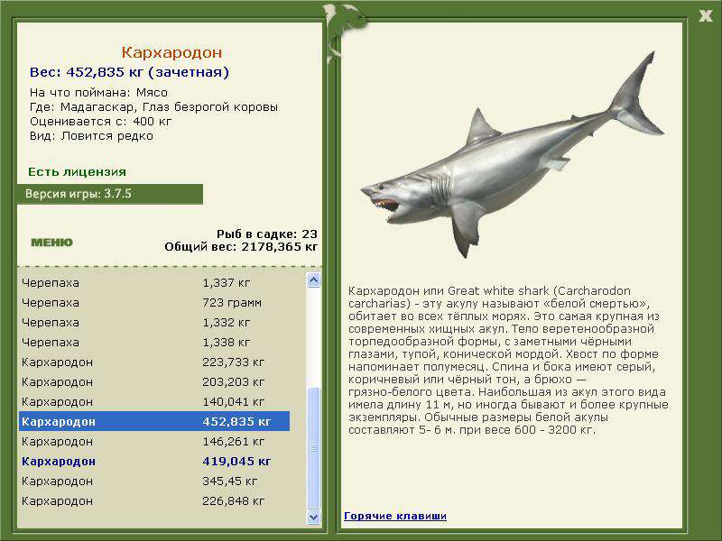 Глаз безрогой коровы 