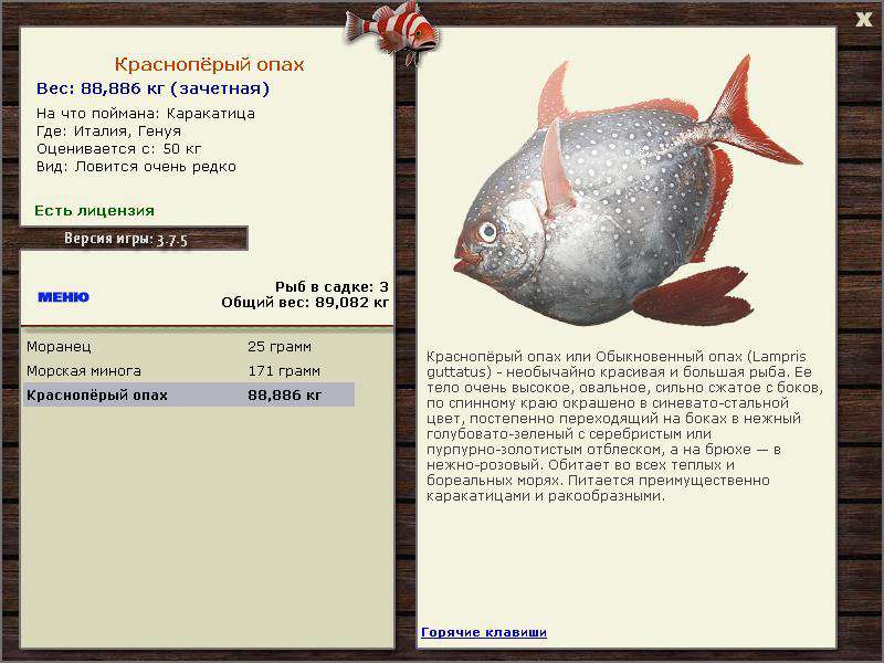 РУССКАЯ РЫБАЛКА Installsoft Edition 