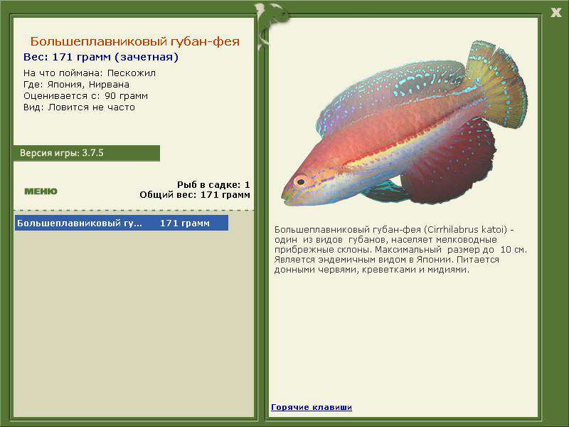 РУССКАЯ РЫБАЛКА Installsoft Edition 
