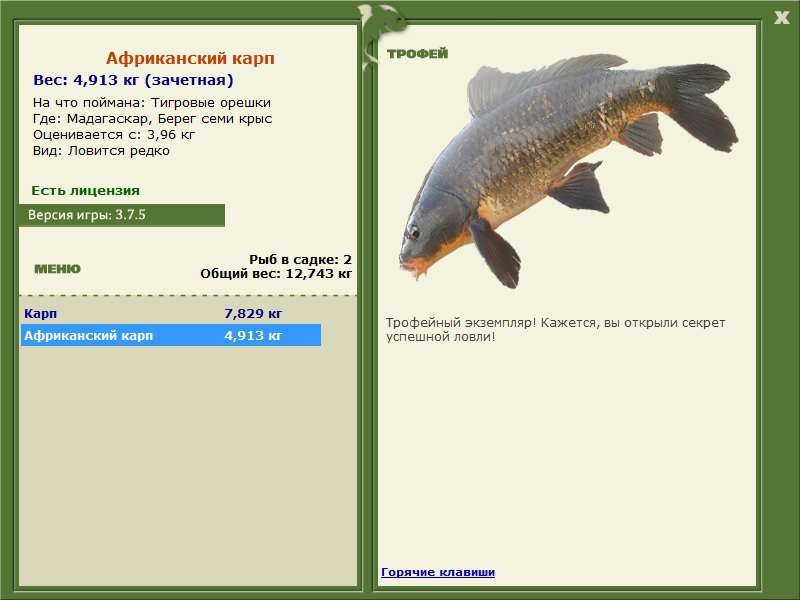 Африканский карп 