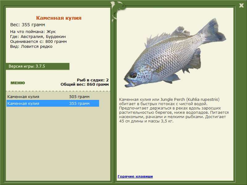Бурдекин 