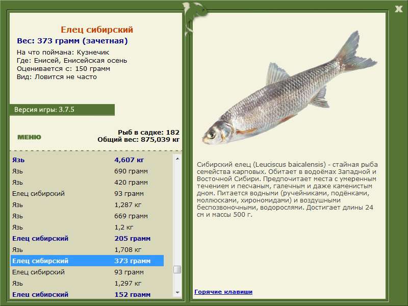 РУССКАЯ РЫБАЛКА Installsoft Edition 