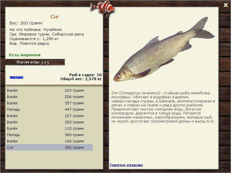 РУССКАЯ РЫБАЛКА Installsoft Edition 
