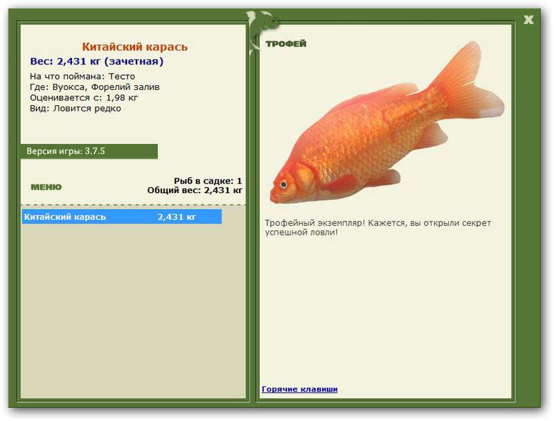 Китайский карась 