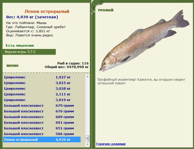Мышь 