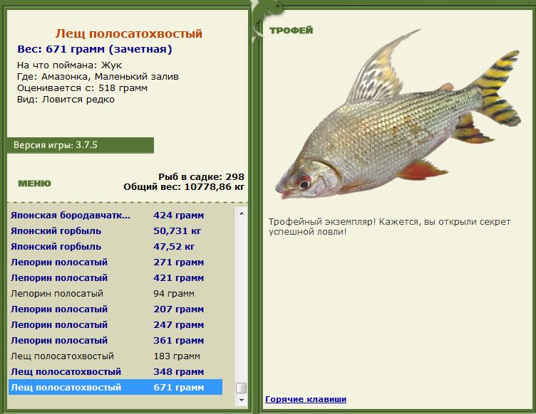 Жук 