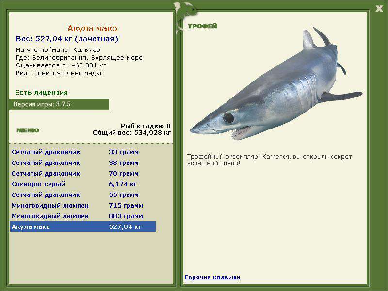 Акула мако 