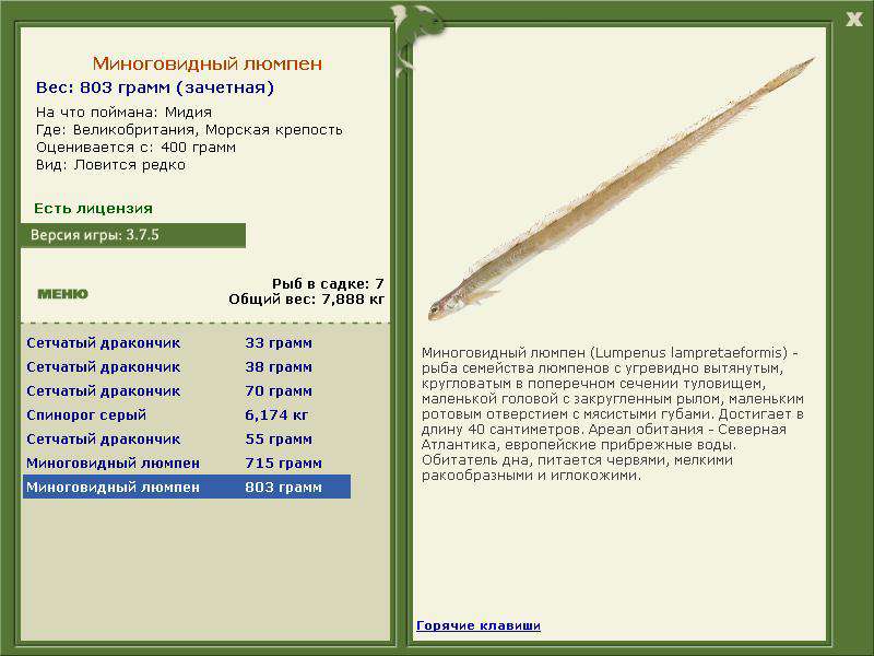 РУССКАЯ РЫБАЛКА Installsoft Edition 