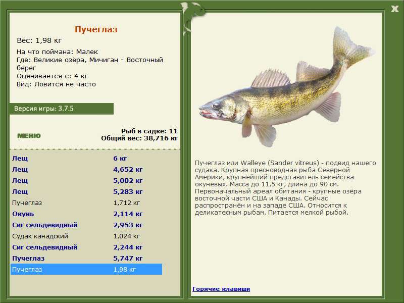 РУССКАЯ РЫБАЛКА Installsoft Edition 