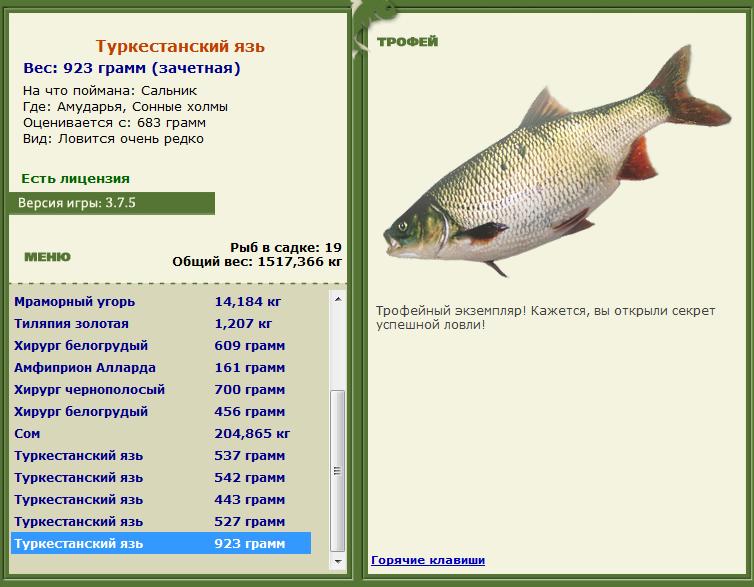 Сальник 