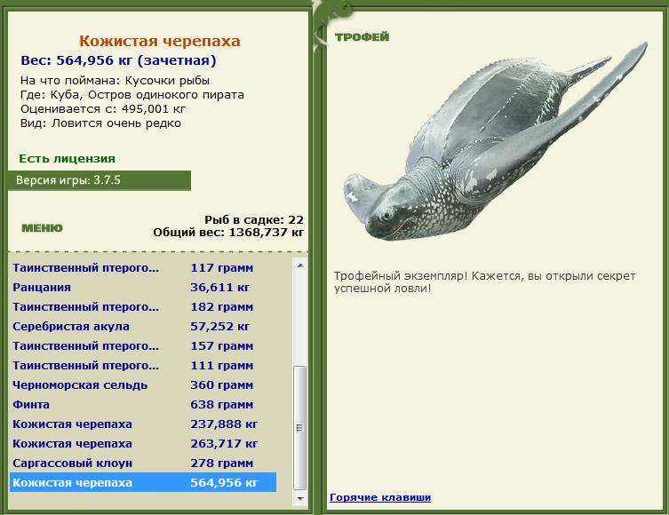 Кусочки рыбы 
