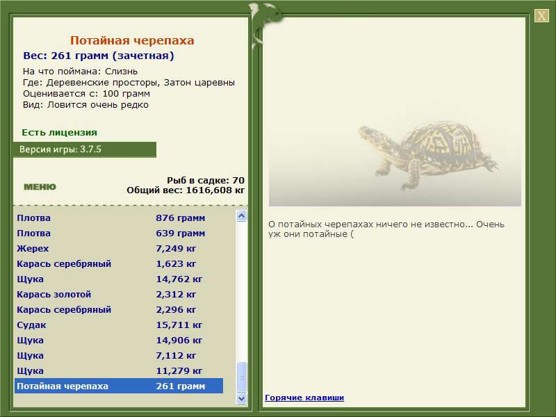 Потайная черепаха 