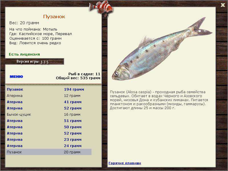 РУССКАЯ РЫБАЛКА Installsoft Edition 