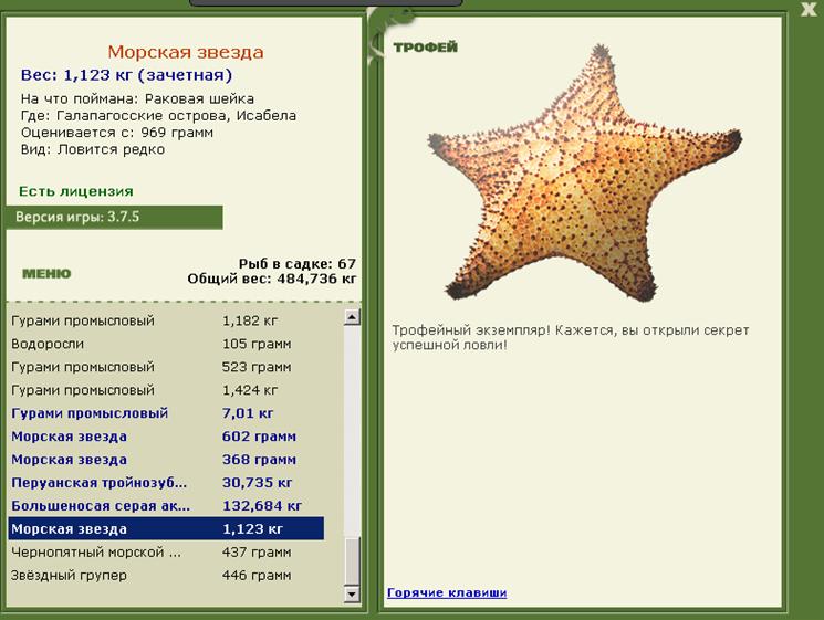 Морская звезда 